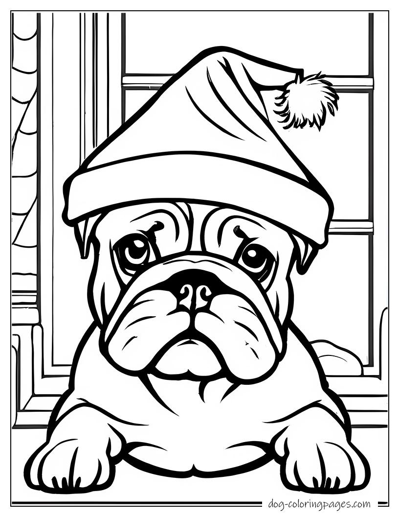 Bulldog At Christmas