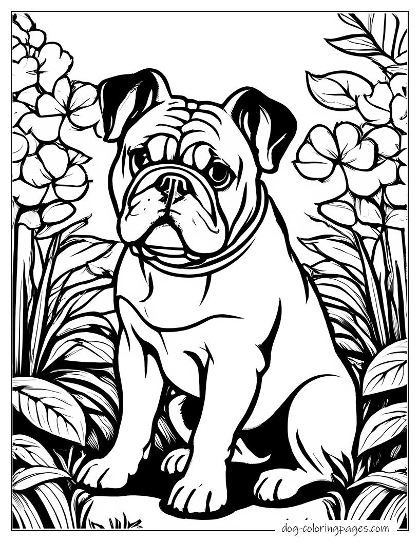 Bulldog In Garden