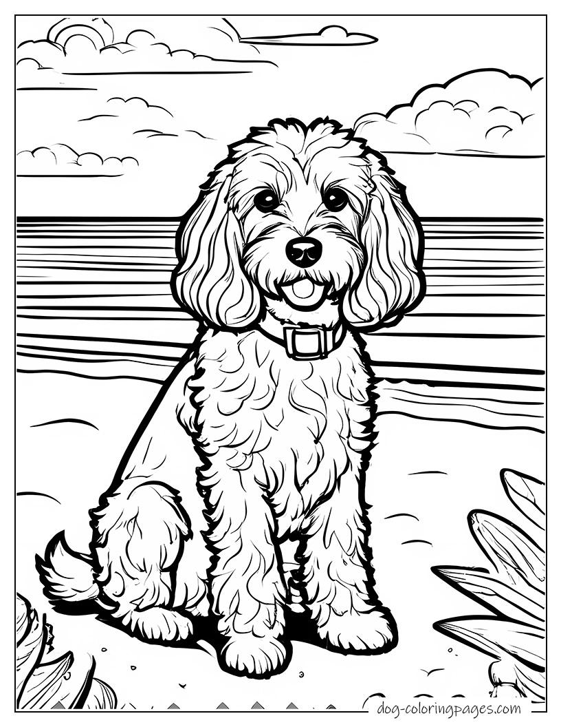 Cockapoo On Beach