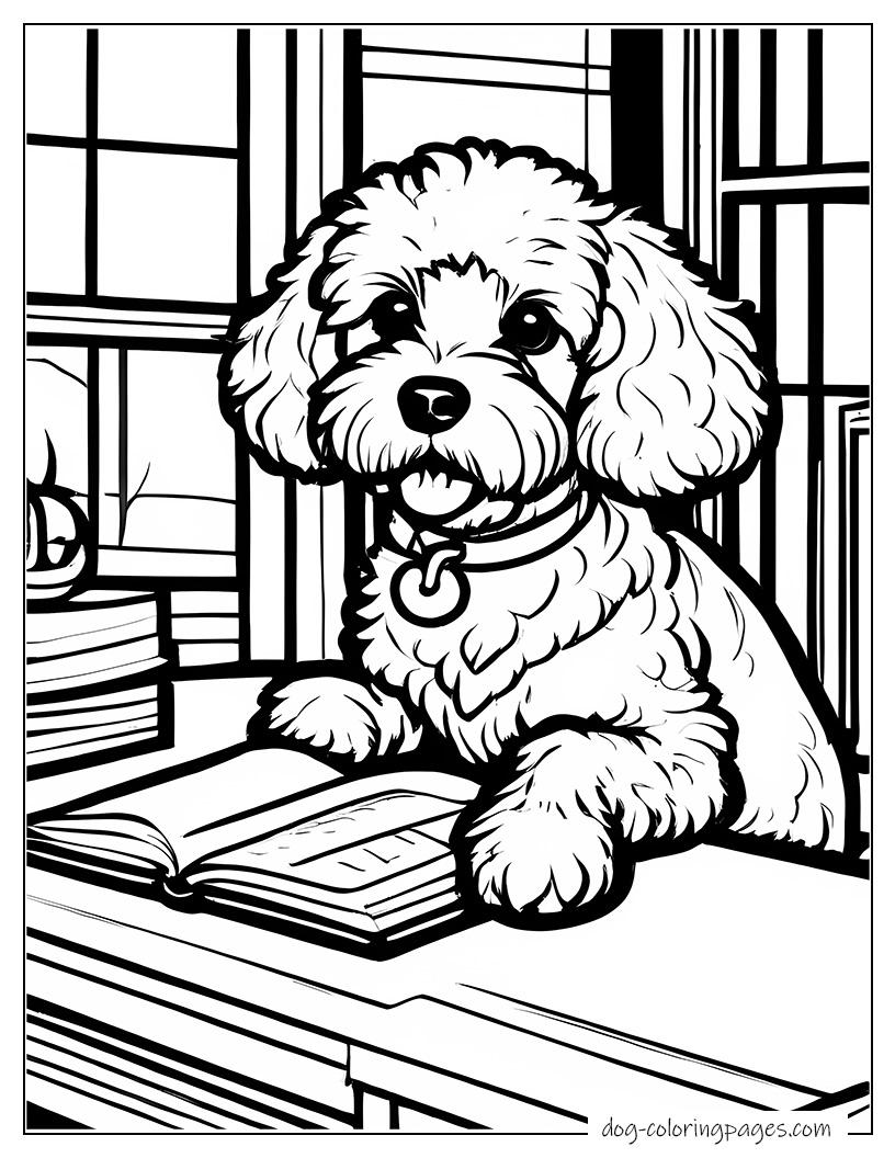 Cockapoo Reading Book