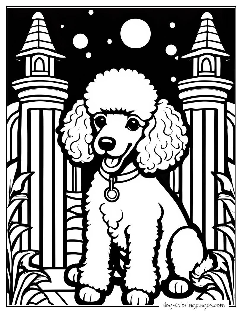 Poodle At Night Castle