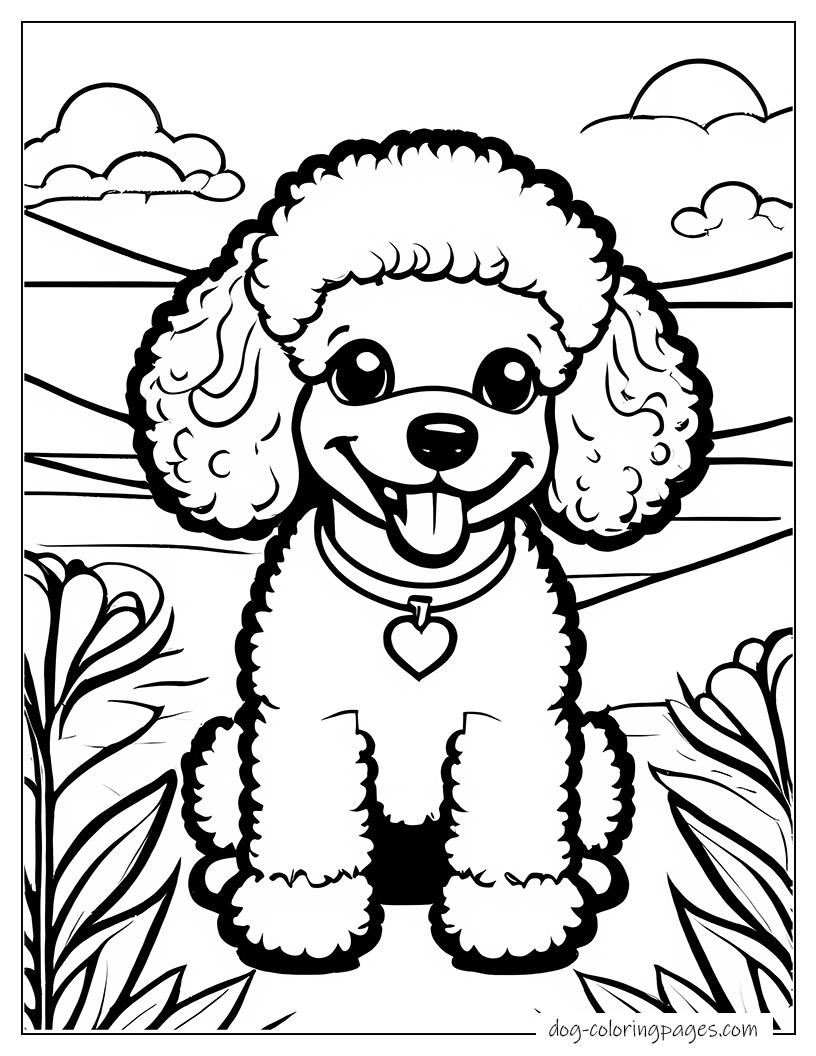 Poodle Smiling